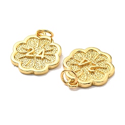 Rack Plating Brass Pendants&nbsp;KK-D026-09G