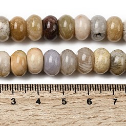 Natural Fossil Coral Beads Strands&nbsp;G-A280-A08-03