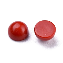 Synthetic Coral Cabochons&nbsp;G-P393-R65-4MM
