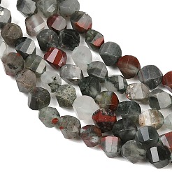 Natural African Bloodstone Beads Strands&nbsp;G-P611-C31-01
