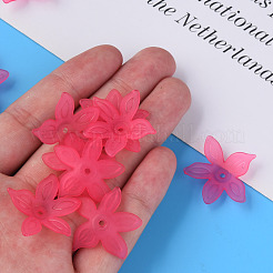 Transparent Acrylic Beads&nbsp;MACR-S373-127-D01