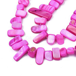 Natural Trochid Shell/Trochus Shell Beads Strands&nbsp;SHEL-S258-082-B07
