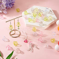 120Pcs 6 Colors Transparent Acrylic Bead Caps&nbsp;TACR-TA0001-75