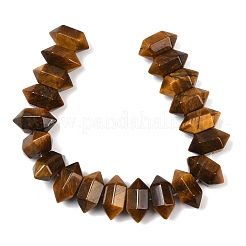 Natural Tiger Eye Double Terminated Point Beads Strands&nbsp;G-T142-91