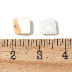 Natural White Shell & Pink Shell Cabochons&nbsp;SSHEL-Z003-01
