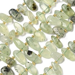 Natural Prehnite Beads Strands&nbsp;G-P604-A02-01