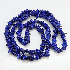 Natural Shell Beads Strands&nbsp;BSHE-D002-10