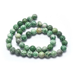 Natural Green Spot Jasper Beads Strands&nbsp;G-I254-06B