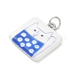 Printed Brass Enamel Pendants&nbsp;LS-KK-CBA9B3D-03P-01