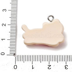 Opaque Resin Pendants&nbsp;RE-CBA5B90-04C