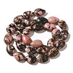 Natural Rhodonite Beads Strands&nbsp;G-I377-A16