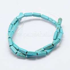 Synthetical Dyed Turquoise Rectangle Bead Strand&nbsp;G-P083-98H