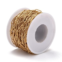 304 Stainless Steel Paperclip Chains&nbsp;CHS-D033-06G-01