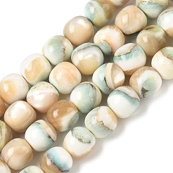 Natural Seashell Shell Beads Strands&nbsp;SH-CBAFEDD-01A