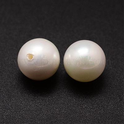Shell Pearl Beads&nbsp;BSHE-L031-01-12mm-1