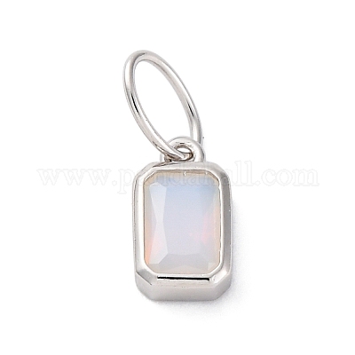 925 Sterling Silver Cubic Zirconia Charms&nbsp;STER-NH0014-01P-06-1