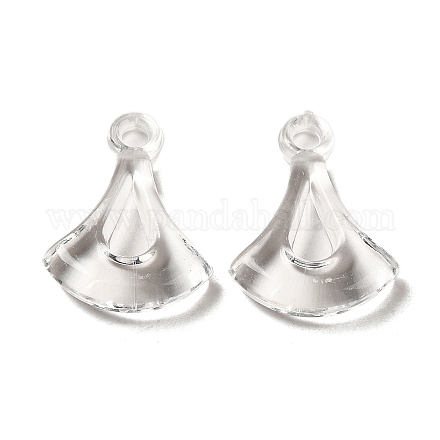 Transparent Acrylic Pendants TACR-G048-42-1