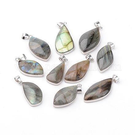 Natural Larvikite Pendants&nbsp;G-H047-01-1