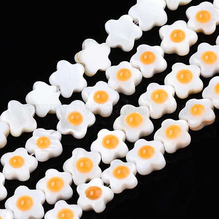 Natural Freshwater Shell Beads Strands SHEL-N003-31A-01-1