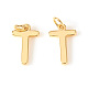 Brass Charms&nbsp;X-KK-I672-01T-G-1