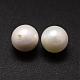 Shell Pearl Beads&nbsp;BSHE-L031-01-12mm-2