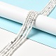 Natural Howlite Beads Strands&nbsp;G-I341-04-2