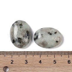 Natural Sesame Jasper Cabochons&nbsp;G-B080-01A-04
