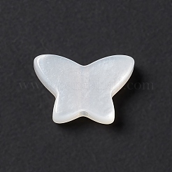 Natural White Shell Beads&nbsp;BSHE-G031-05