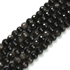 Natural Silver Obsidian Beads Strands&nbsp;G-C280-B08-6mm
