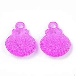 Transparent Acrylic Pendants&nbsp;TACR-T005-18