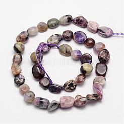 Natural Charoite Bead Strands&nbsp;G-L459-02