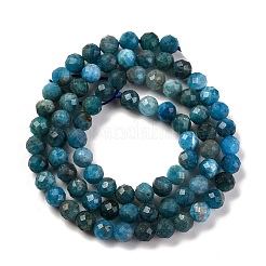 Natural Apatite Beads Strands&nbsp;G-F770-C02-02
