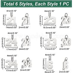 6Pcs 6 Style 316 Surgical Stainless Steel Charms&nbsp;STAS-UN0040-38P