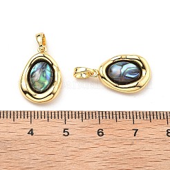 Brass Pave Natural Paua Shell Pendants&nbsp;KK-B129-08G