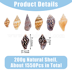 1550Pcs Natural Spiral Shell Beads&nbsp;SSHEL-DC0001-04