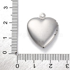 304 Stainless Steel Pendants&nbsp;LS-STAS-S171-13P-09