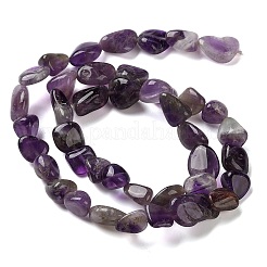 Natural Amethyst Beads Strands&nbsp;G-C268-A05-8x10mm