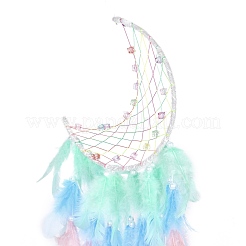 Iron Woven Web/Net with Feather Pendant Decorations&nbsp;AJEW-P097-08