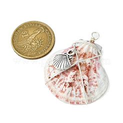 3Pcs Silver Copper Wire Wrapped Natural Scallop Shell Pendants&nbsp;PALLOY-TA00186