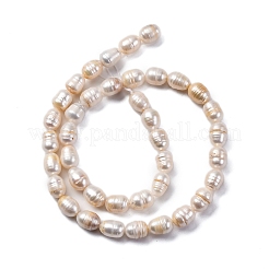 Natural Cultured Freshwater Pearl Beads Strands&nbsp;PEAR-XCP0001-07