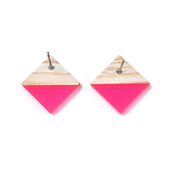 Transparent Resin & Wood Stud Earrings&nbsp;EJEW-N017-005A-A04