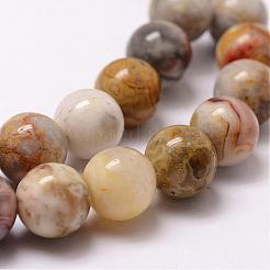 Natural Crazy Lace Agate Beads Strands&nbsp;G-D840-70-6mm