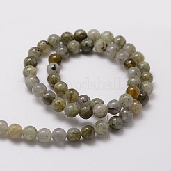 Natural Labradorite Round Beads Strands&nbsp;G-E329-8mm-48