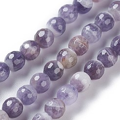 Natural Chevron Amethyst Beads Strands&nbsp;G-P428-04B-6mm