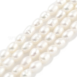 Natural Cultured Freshwater Pearl Beads Strands&nbsp;PEAR-P062-01F