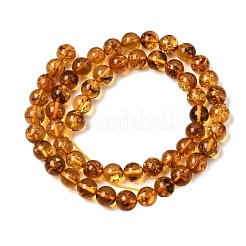 Natural Amber Beads Strands&nbsp;G-K376-H02-02