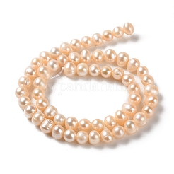 Natural Cultured Freshwater Pearl Beads Strands&nbsp;PEAR-E018-77