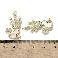 Brass Micro Pave Cubic Zirconia Pendants&nbsp;KK-G485-20A-G