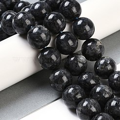Natural Larvikite Beads Strands&nbsp;G-G118-B02-01