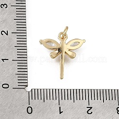 Brass Micro Pave Clear Cubic Zirconia Pendants&nbsp;CU-L001-09G-03